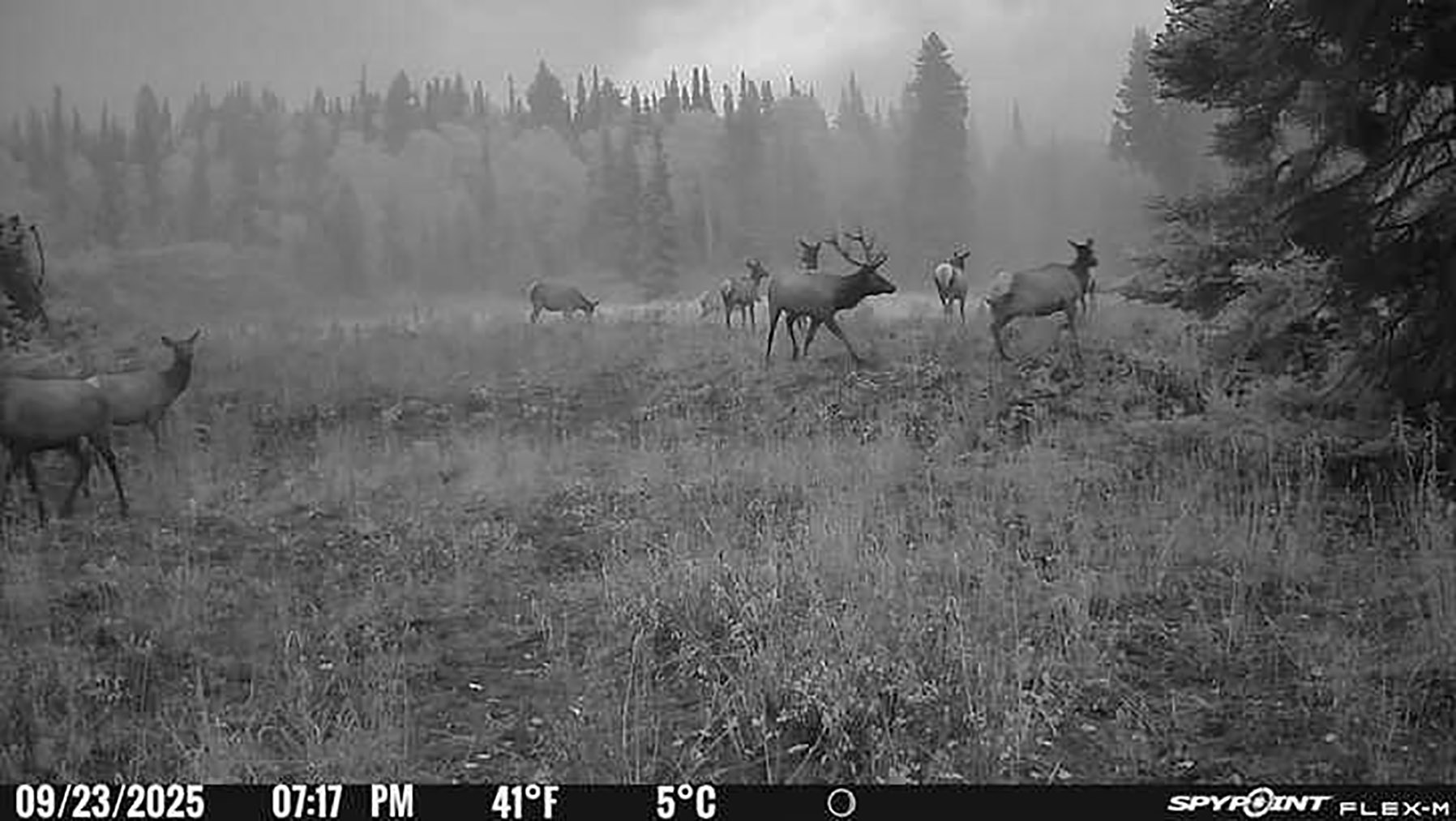 Colorado Haven property picture 38 of 97