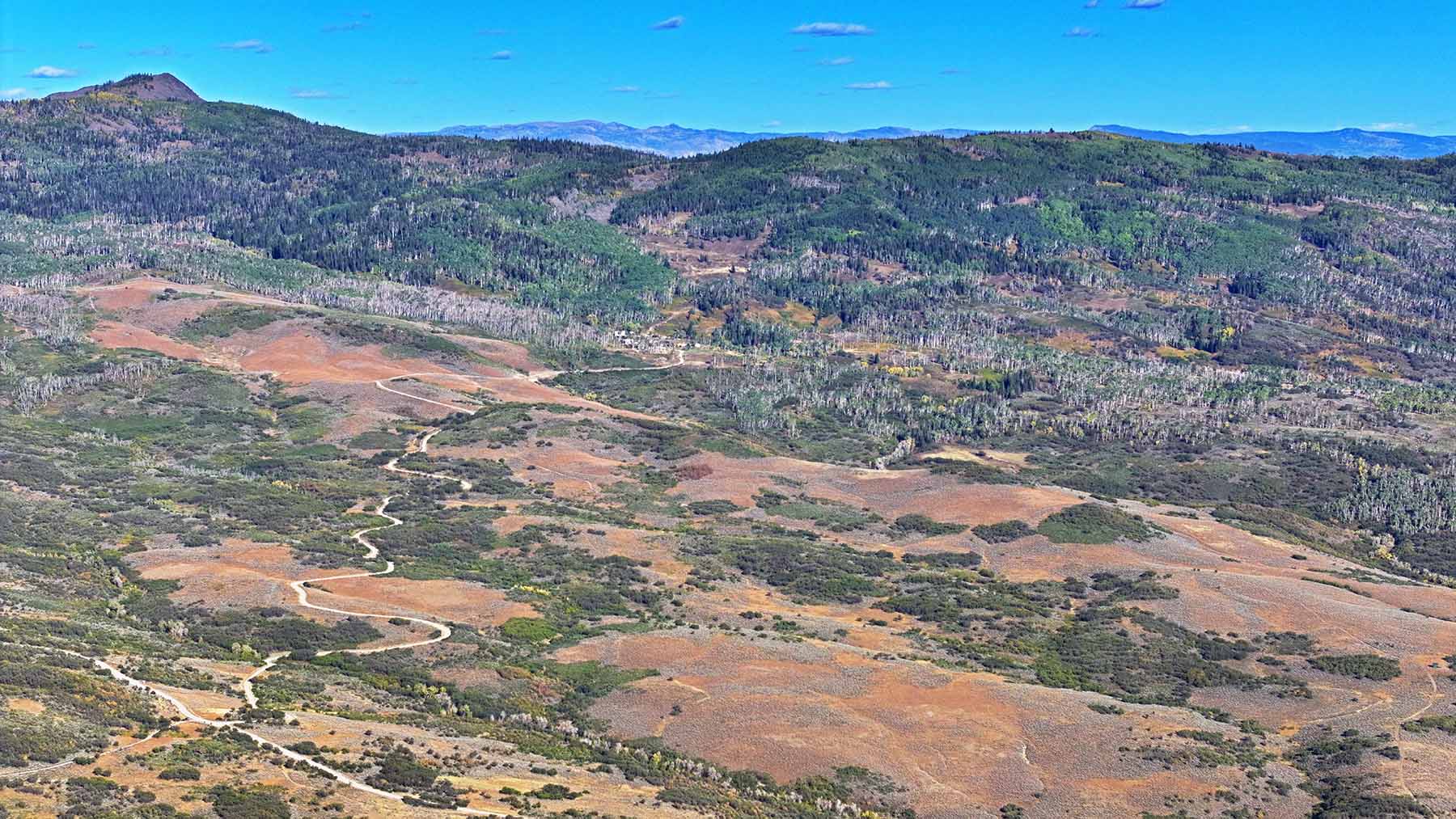 Colorado Haven property picture 51 of 97