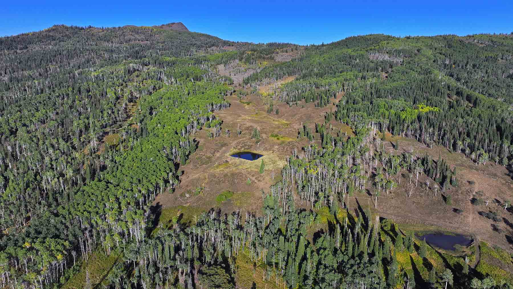 Colorado Haven property picture 16 of 97