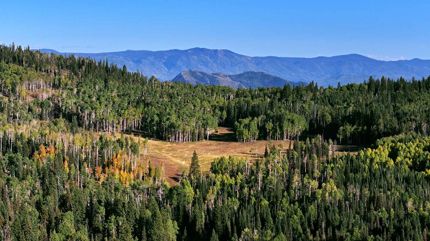 Colorado Haven property picture 32 of 97