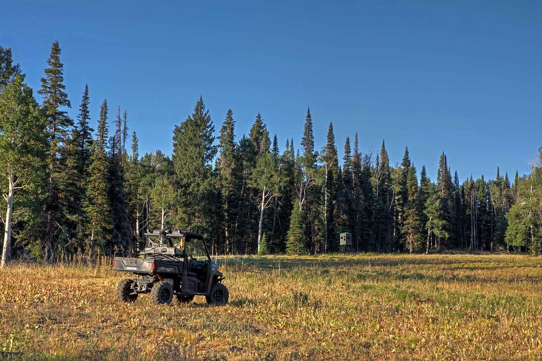 Colorado Haven property picture 60 of 97