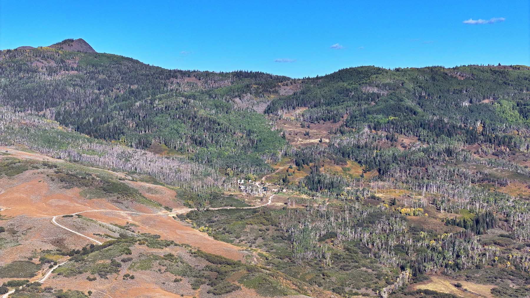 Colorado Haven property picture 88 of 97