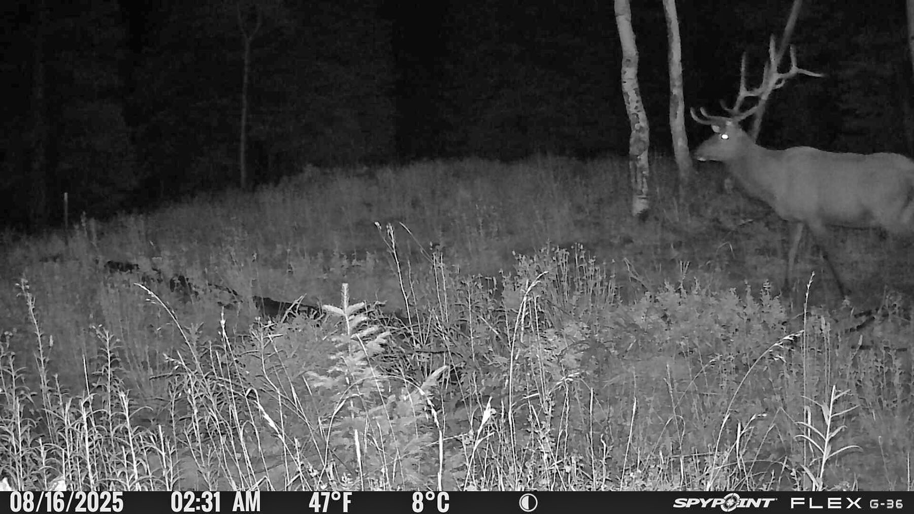 Colorado Haven property picture 96 of 97