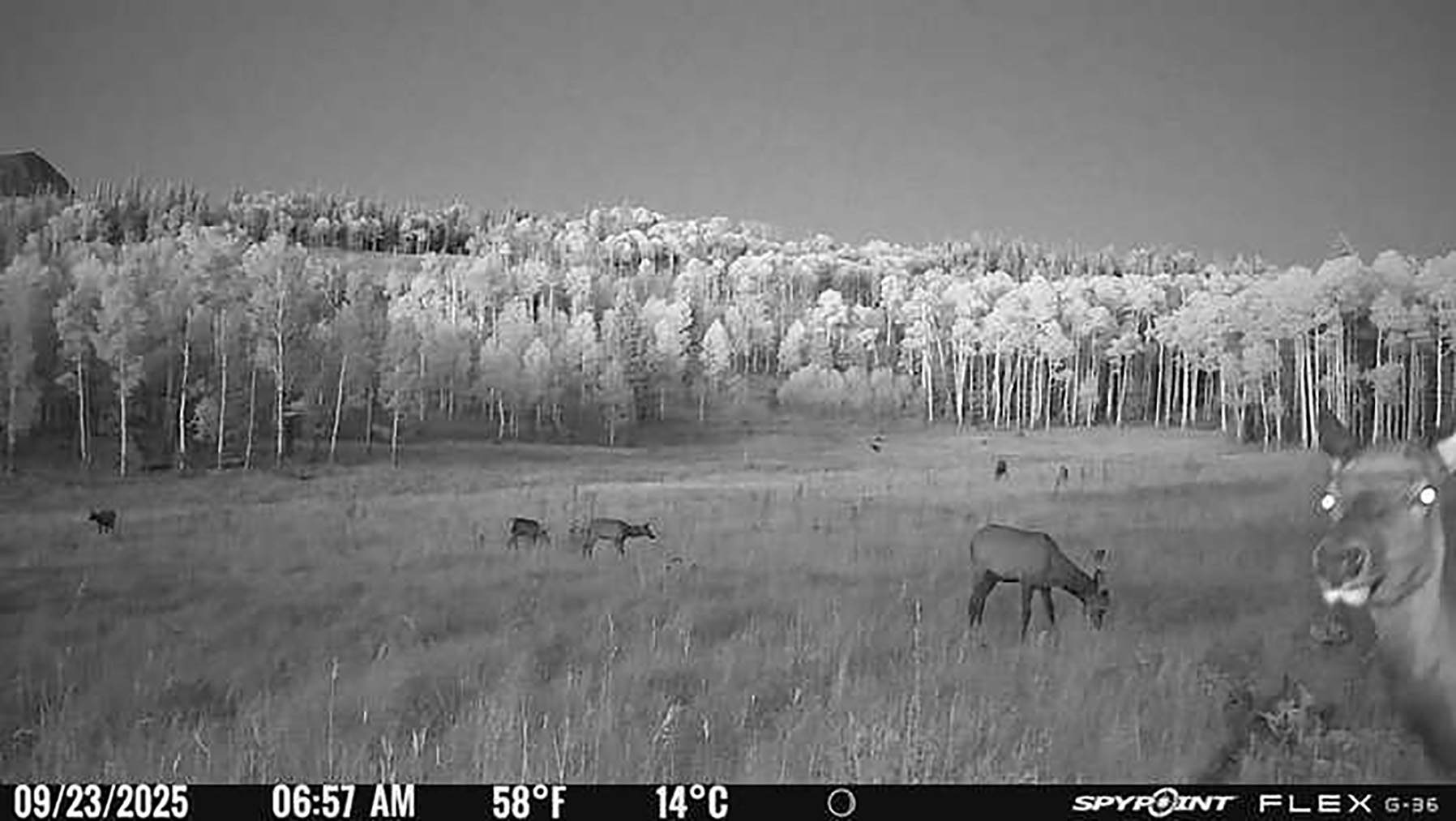 Colorado Haven property picture 31 of 97