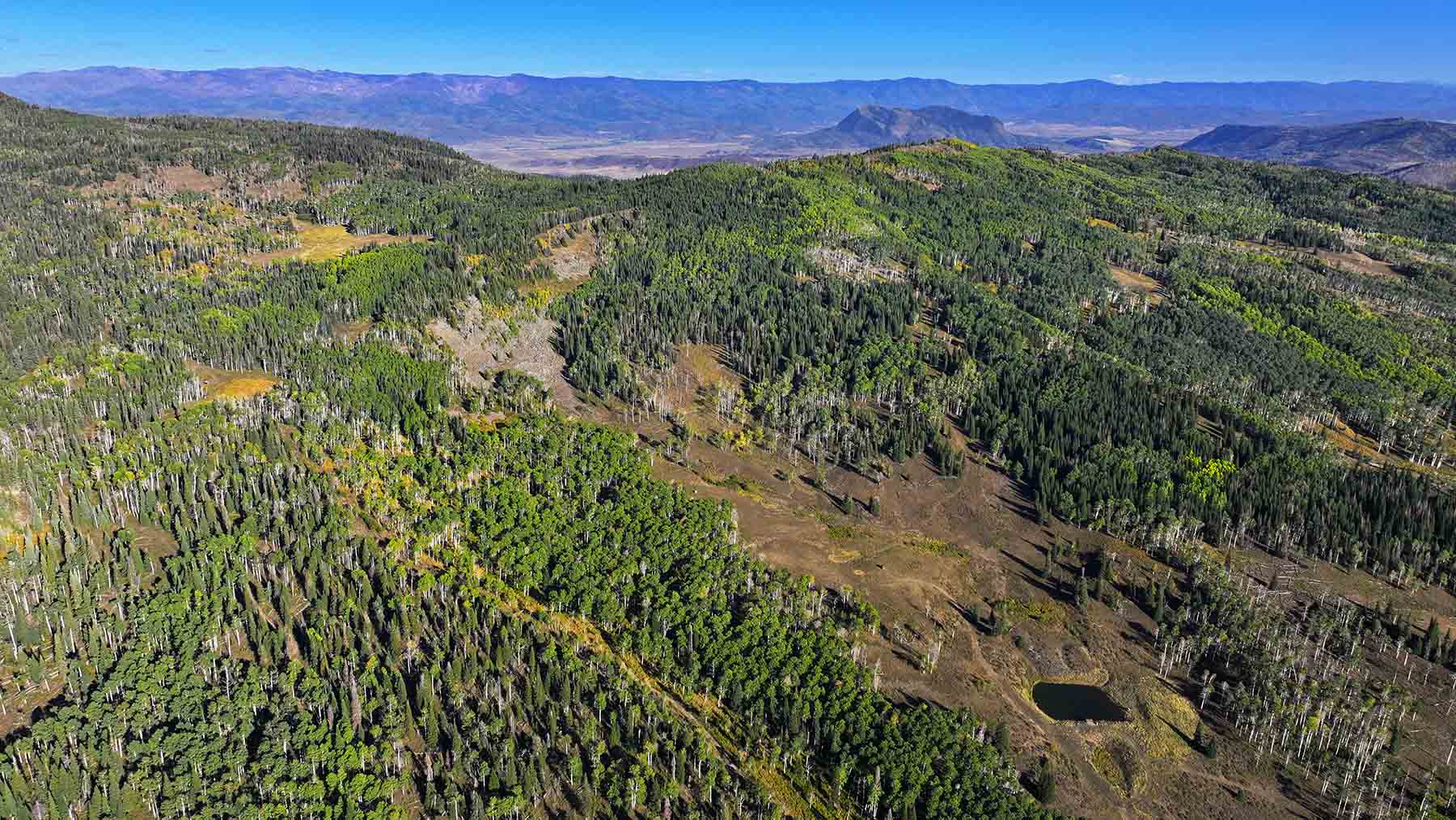 Colorado Haven property picture 3 of 97