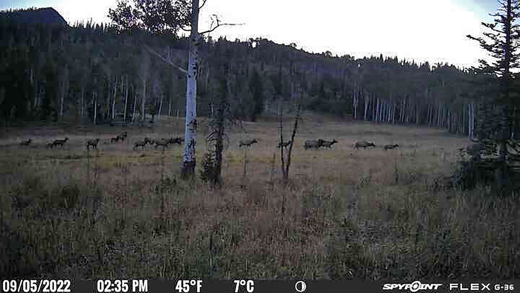 Colorado Haven property picture 95 of 97