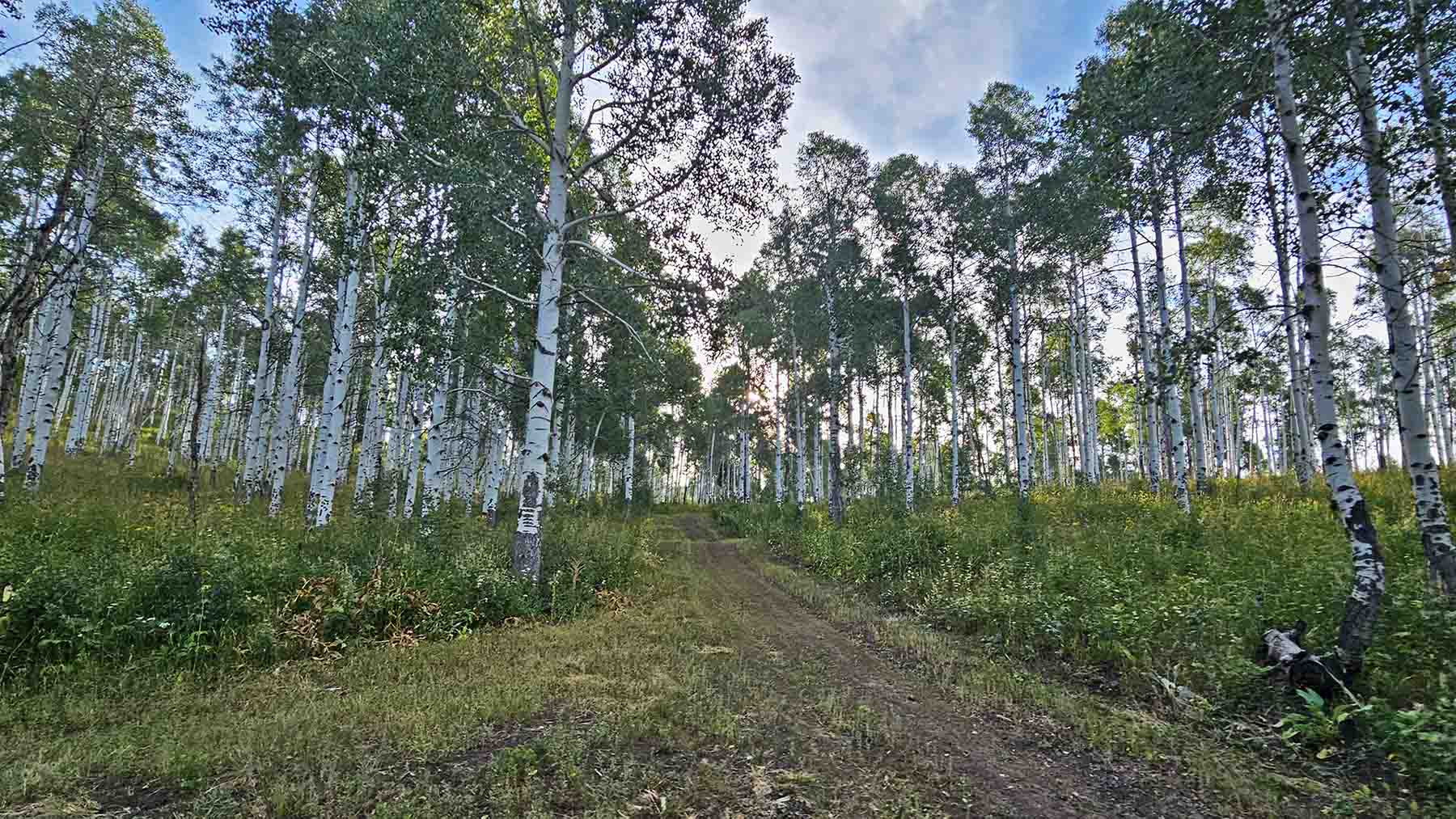 Colorado Haven property picture 39 of 97