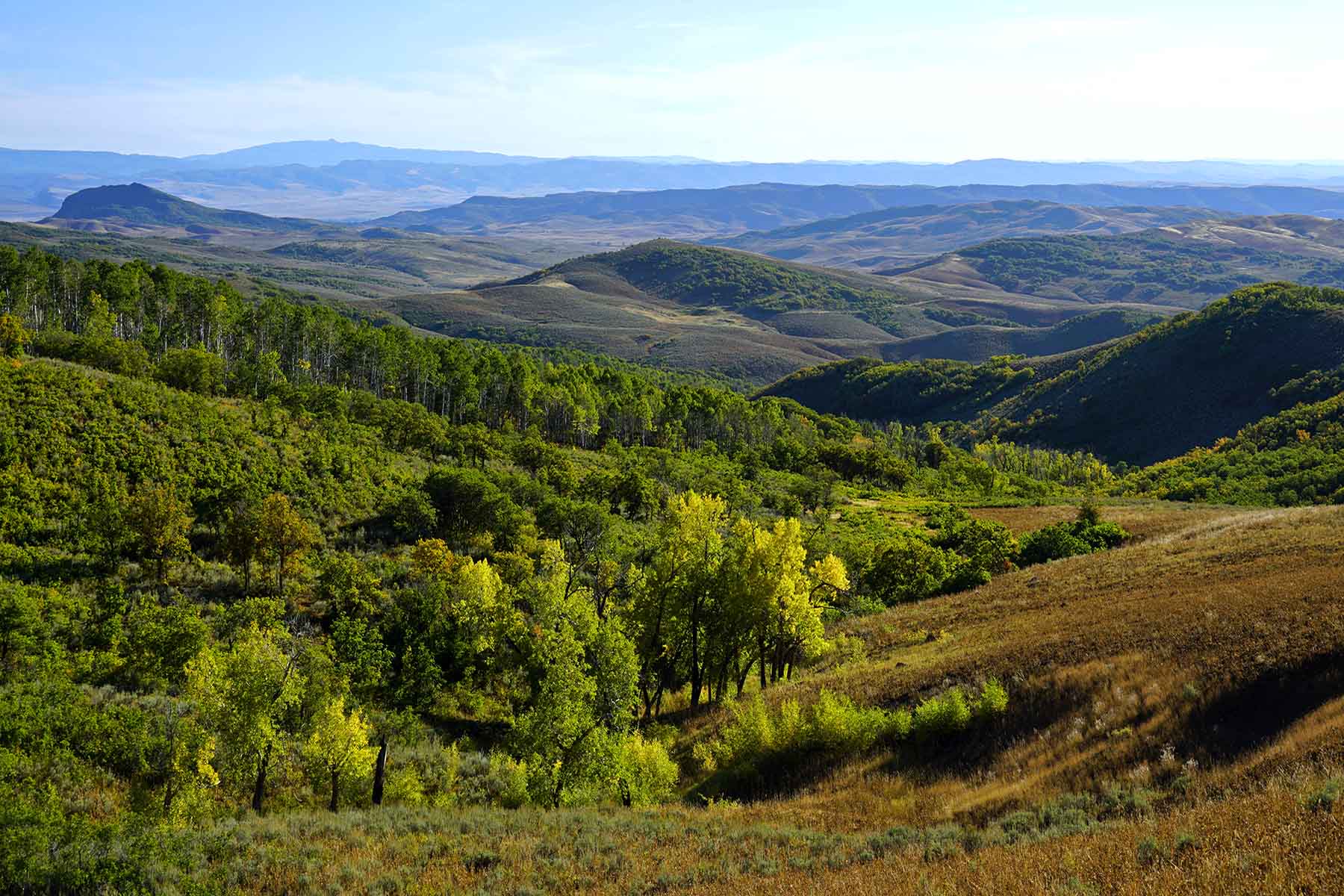 Colorado Haven property picture 19 of 97