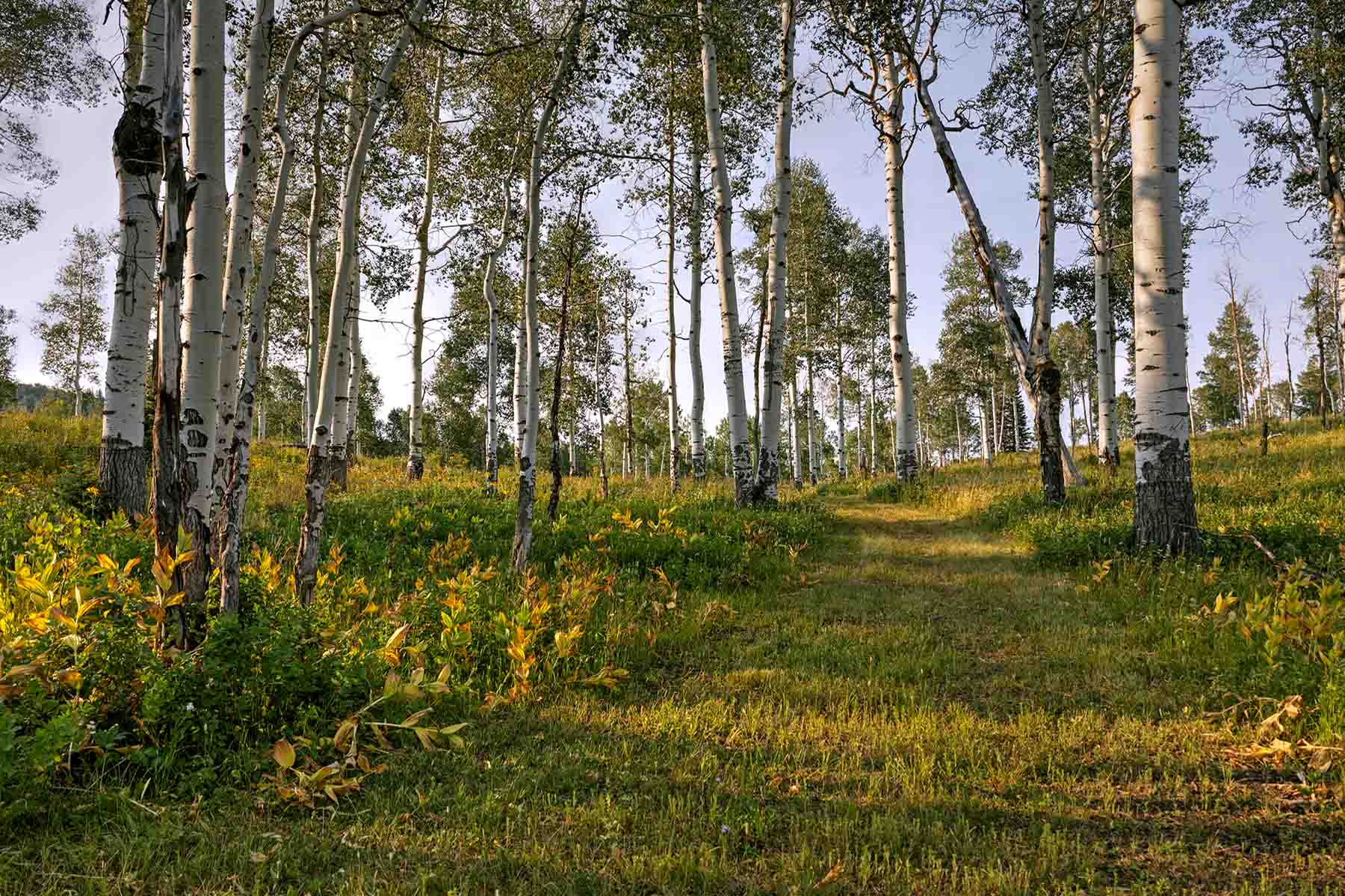 Colorado Haven property picture 52 of 97