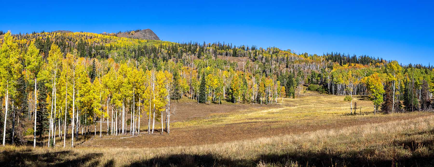 Colorado Haven property picture 44 of 97