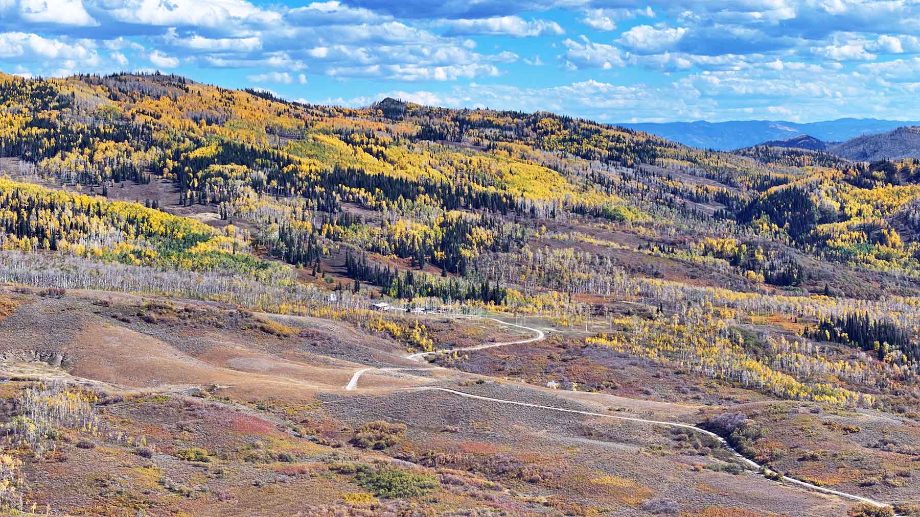 Colorado Haven property picture 21 of 97