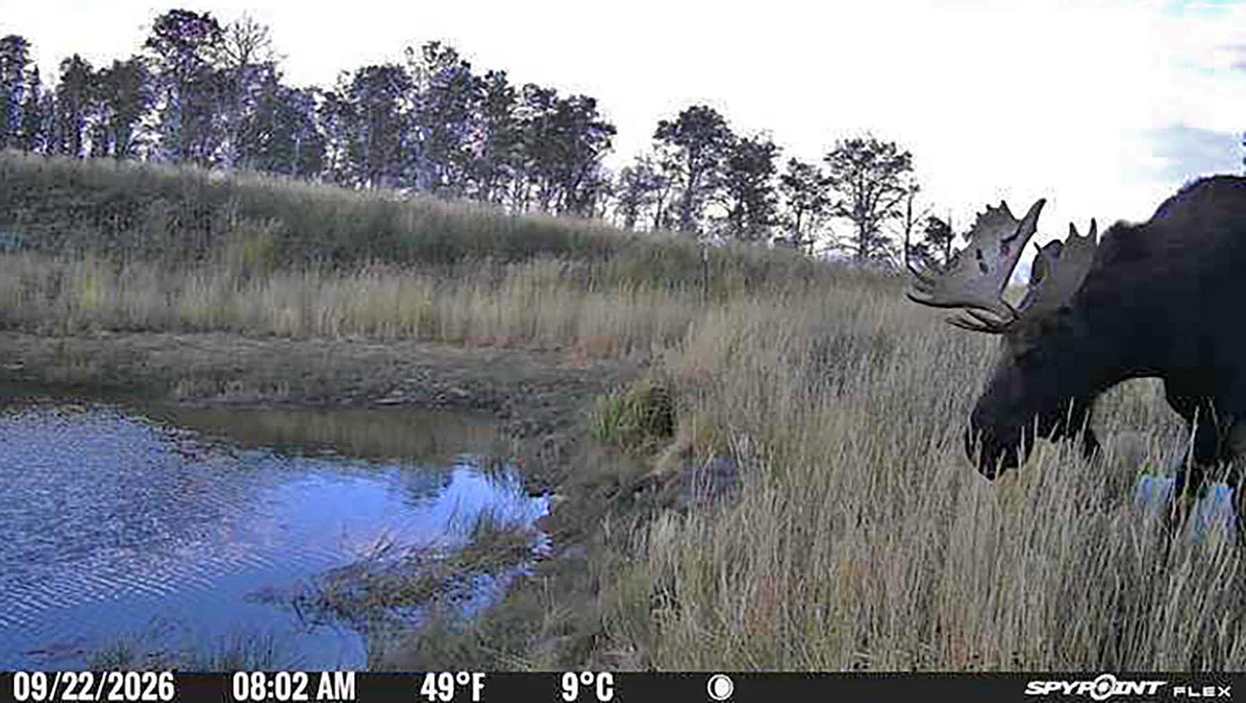Colorado Haven property picture 98 of 103