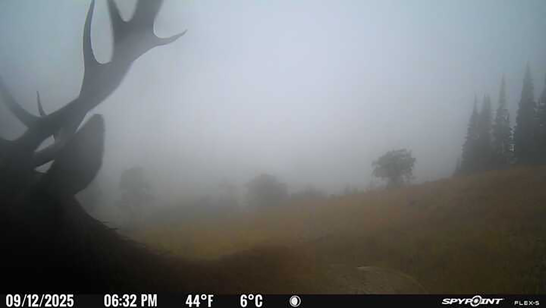 Colorado Haven property picture 59 of 97