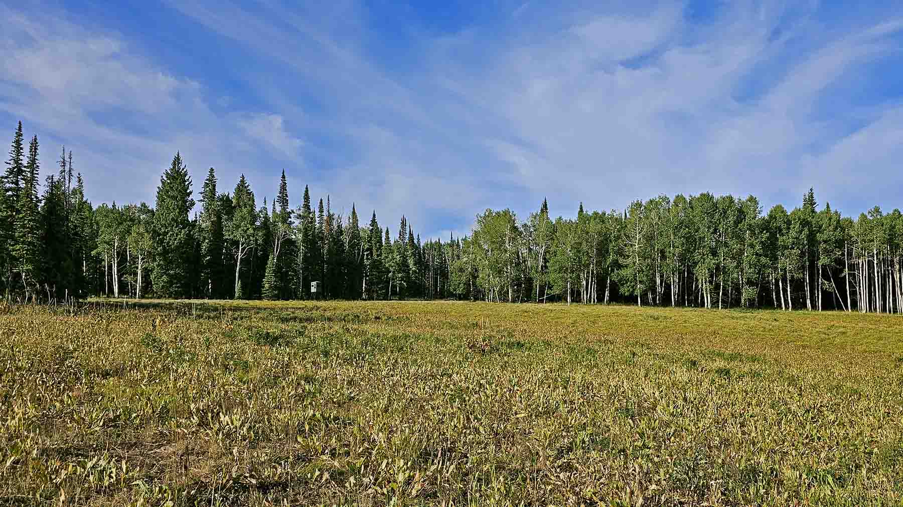 Colorado Haven property picture 53 of 97