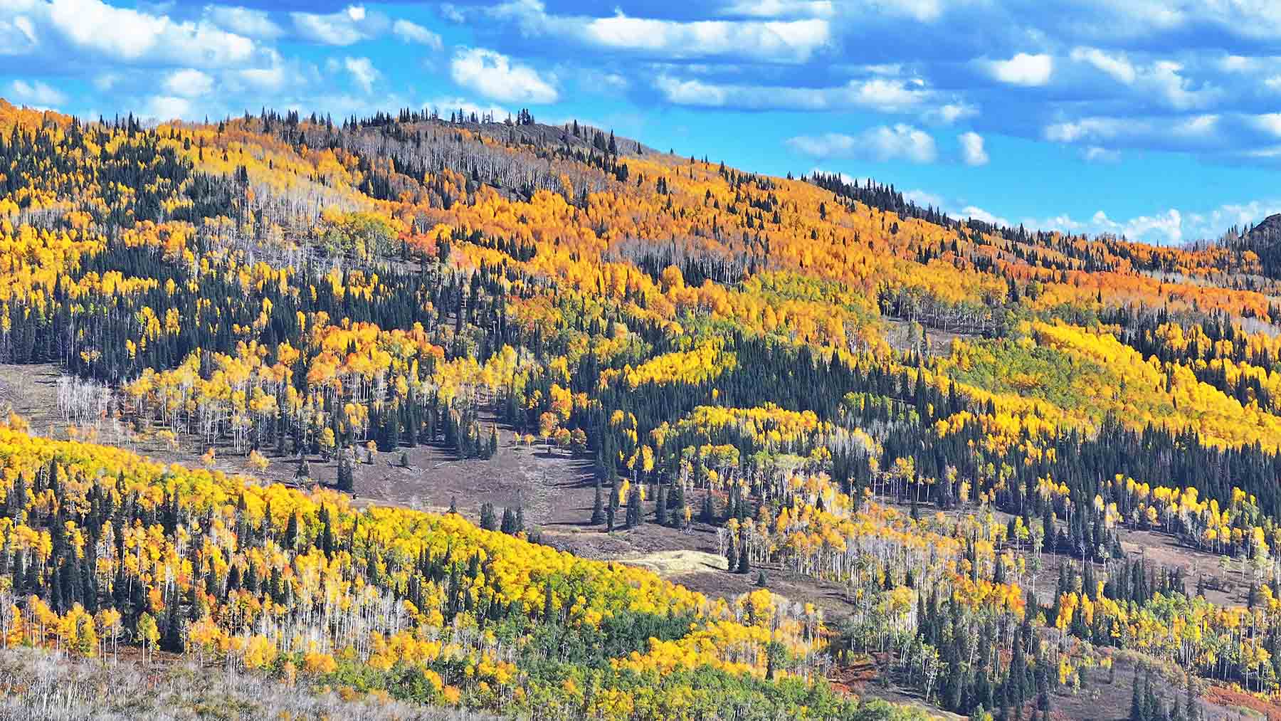 Colorado Haven property picture 5 of 97