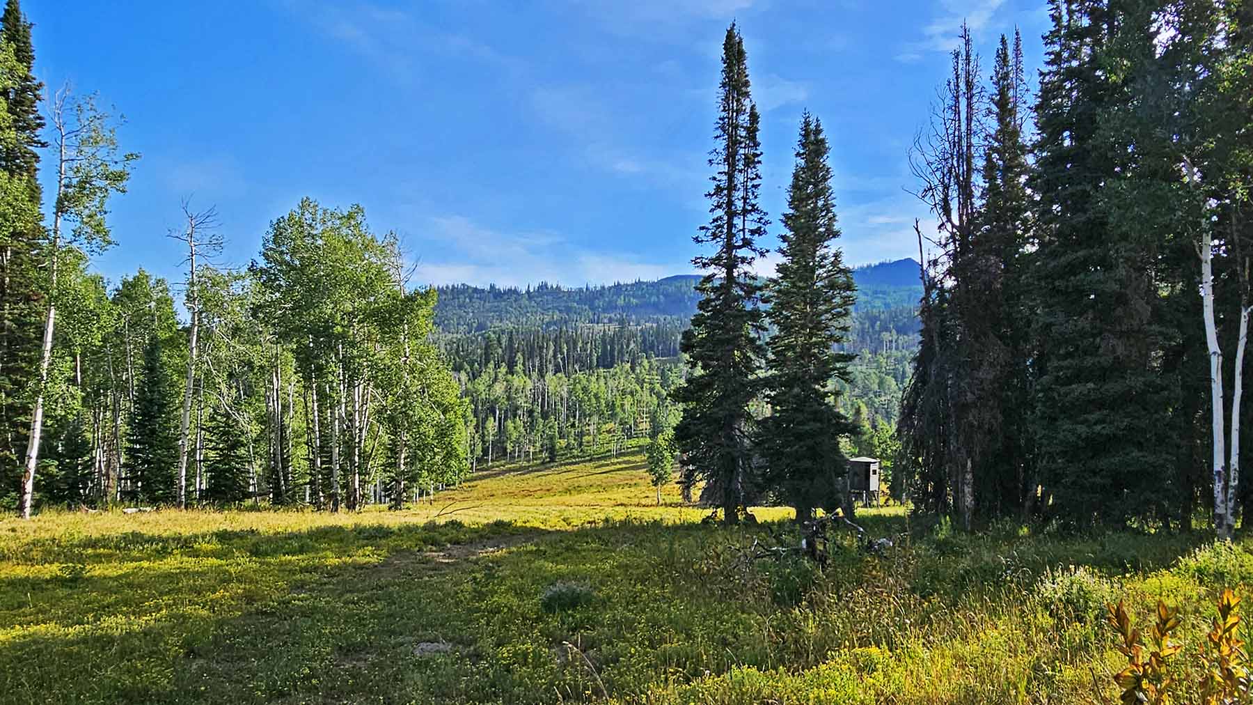 Colorado Haven property picture 54 of 97