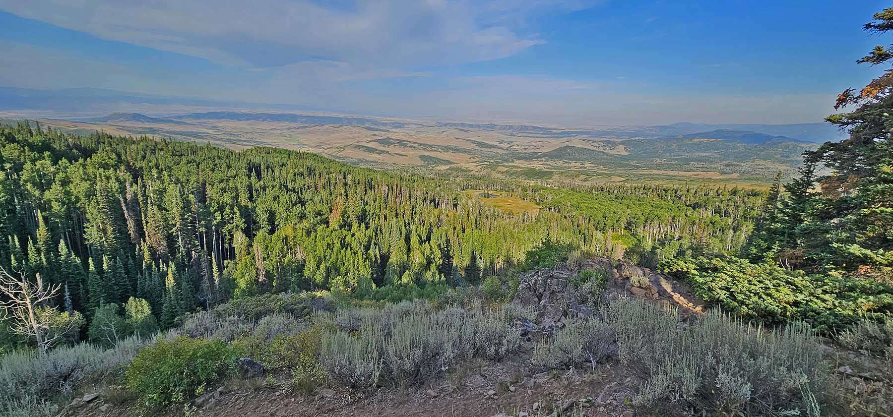 Colorado Haven property picture 42 of 97