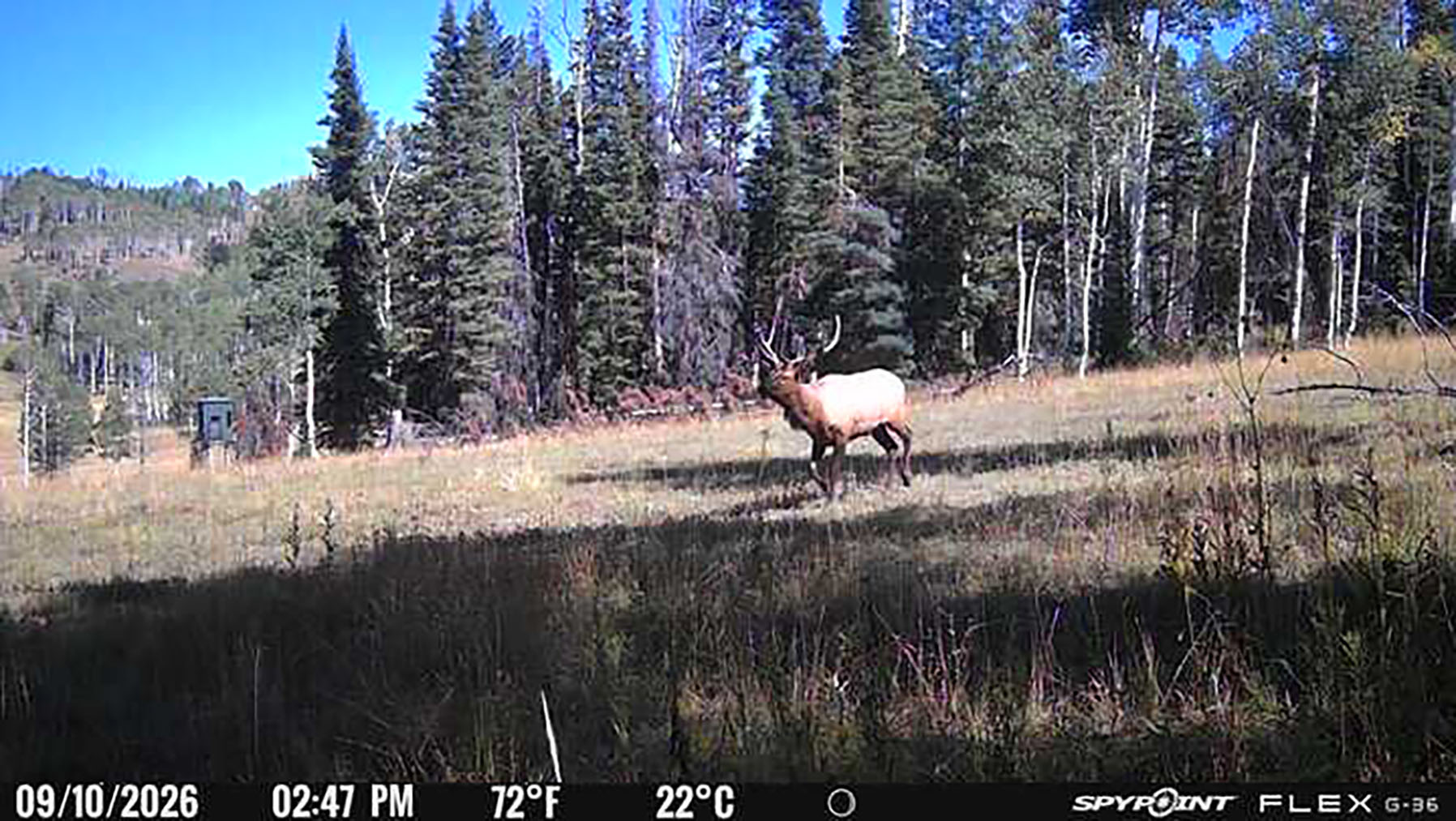 Colorado Haven property picture 102 of 103