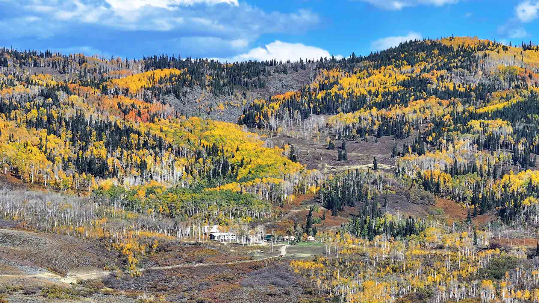 Colorado Haven property picture 15 of 97