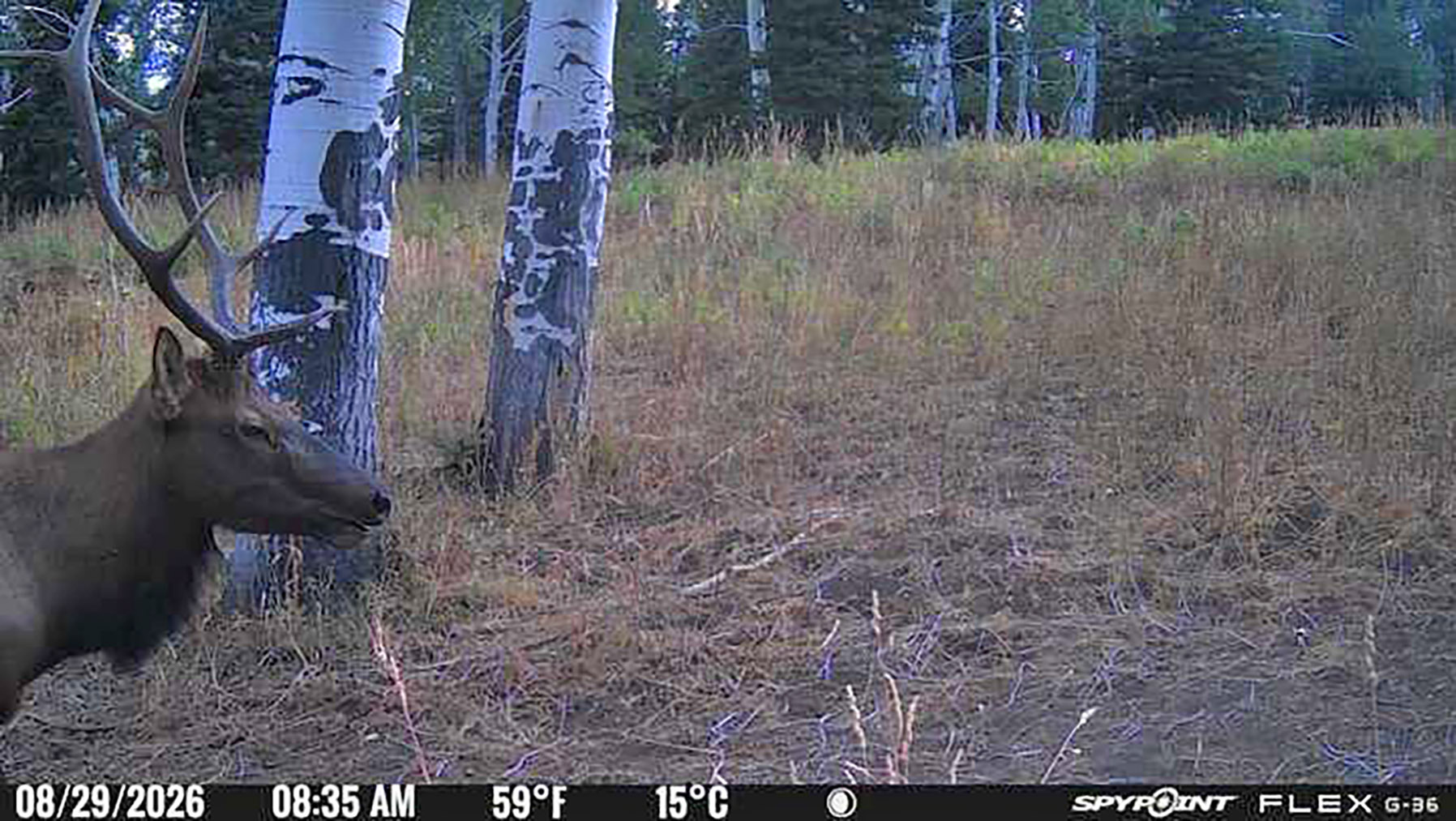Colorado Haven property picture 101 of 103