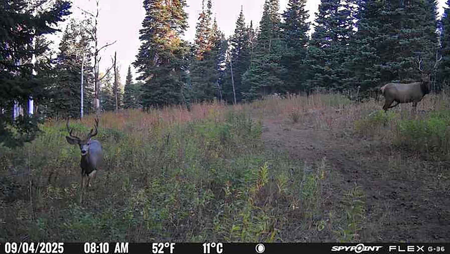 Colorado Haven property picture 97 of 97