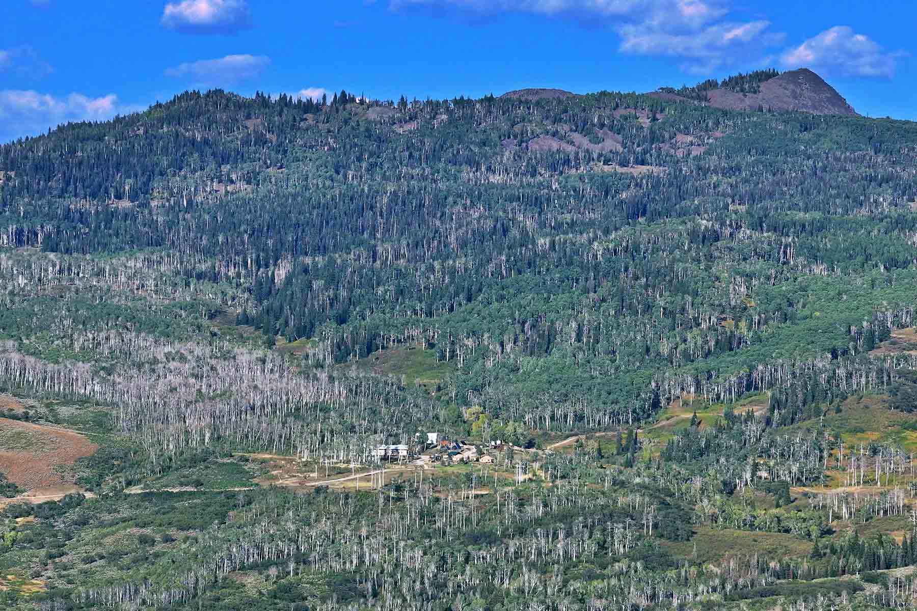 Colorado Haven property picture 45 of 97