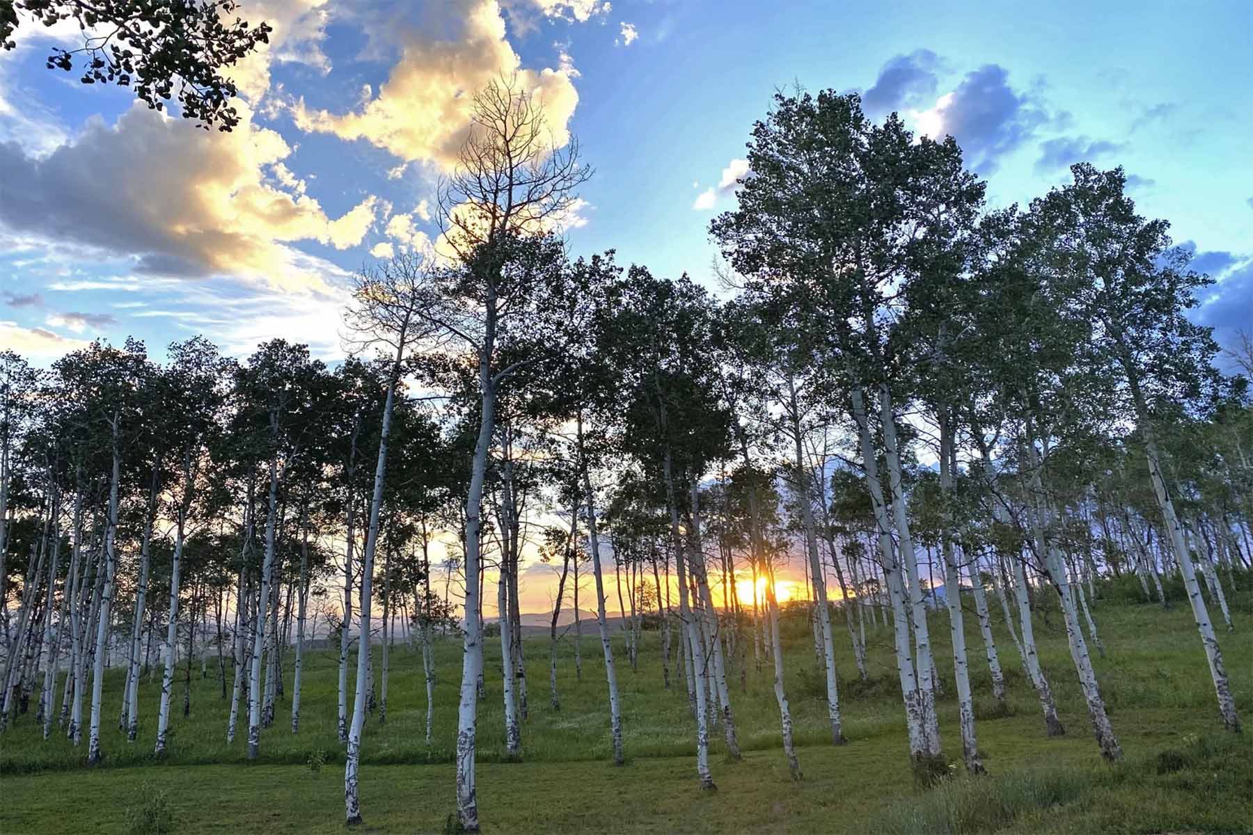 Colorado Haven property picture 49 of 97