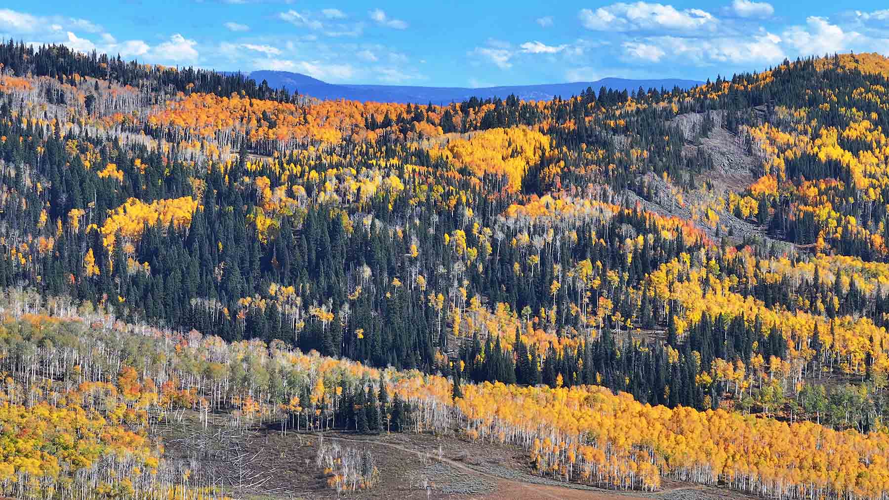 Colorado Haven property picture 24 of 97