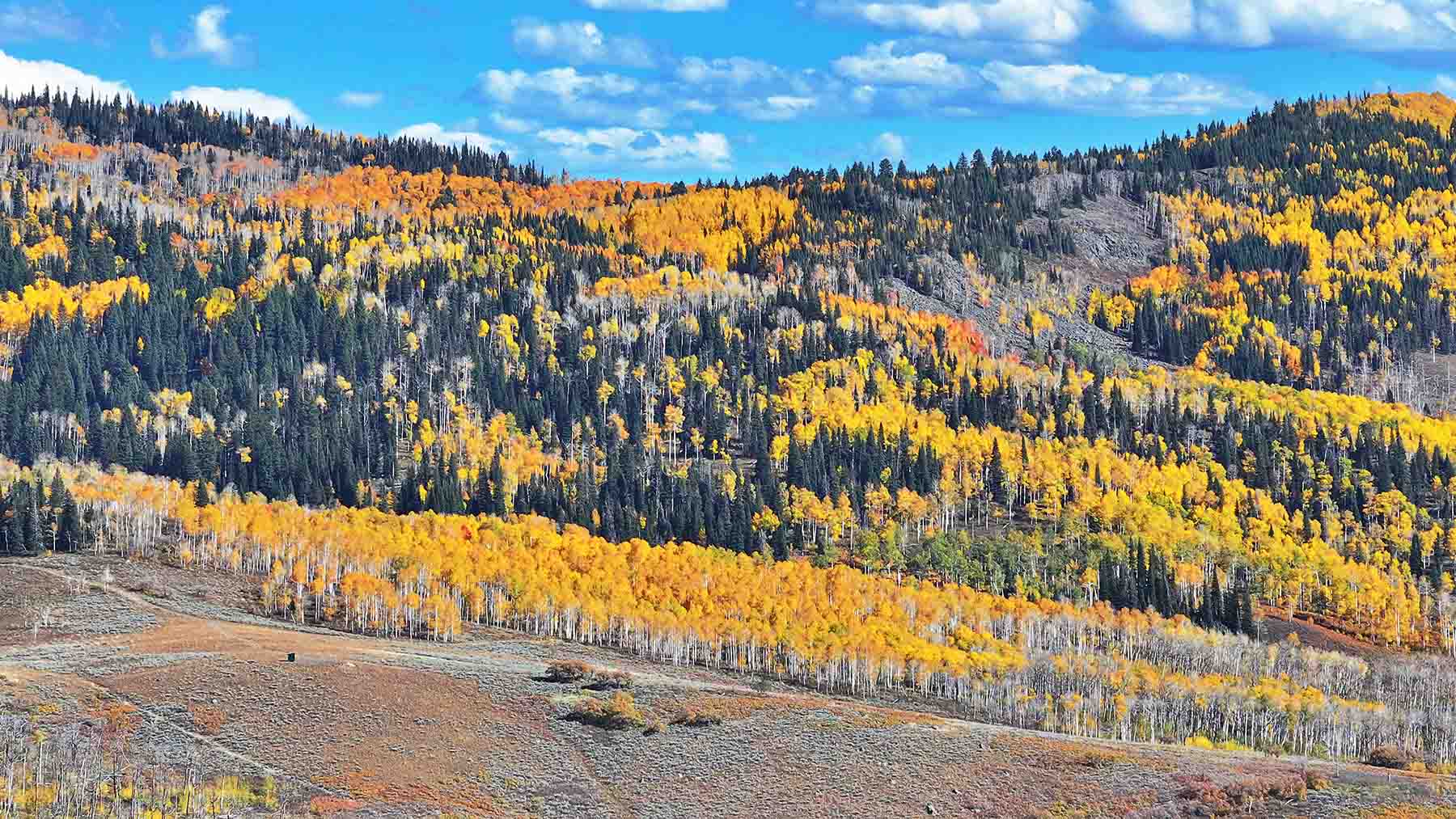 Colorado Haven property picture 35 of 97