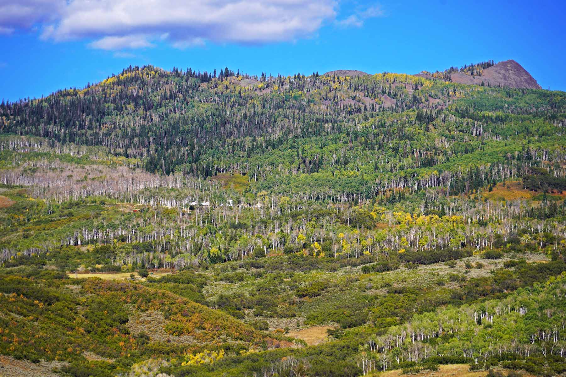 Colorado Haven property picture 22 of 97