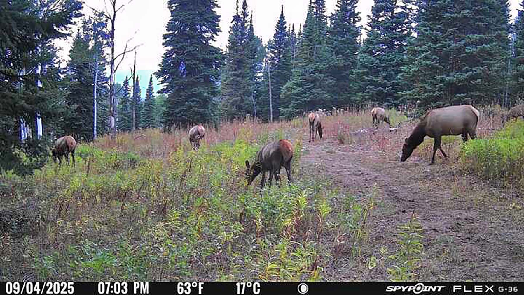 Colorado Haven property picture 94 of 97