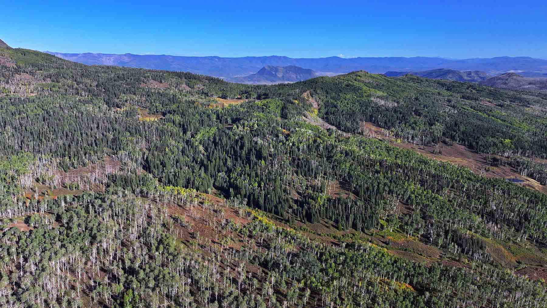 Colorado Haven property picture 40 of 97