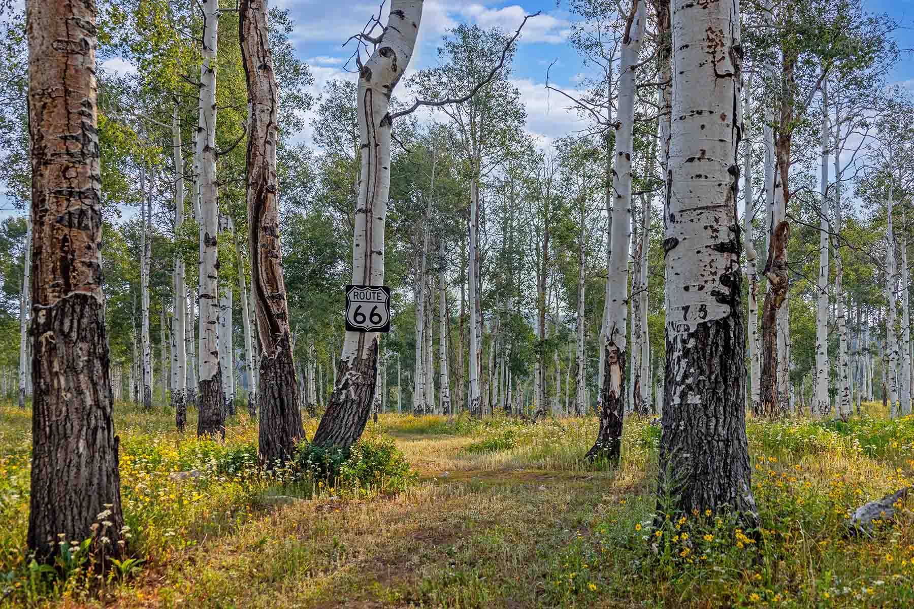 Colorado Haven property picture 58 of 97