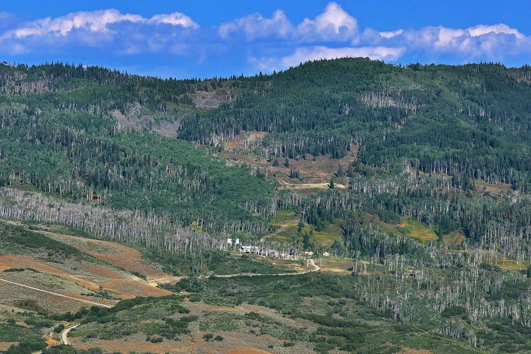 Colorado Haven property picture 57 of 97