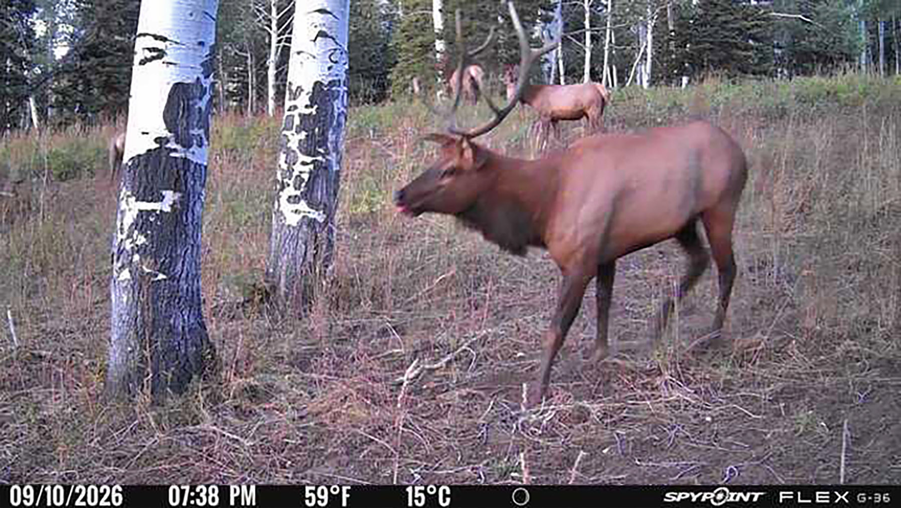 Colorado Haven property picture 99 of 103