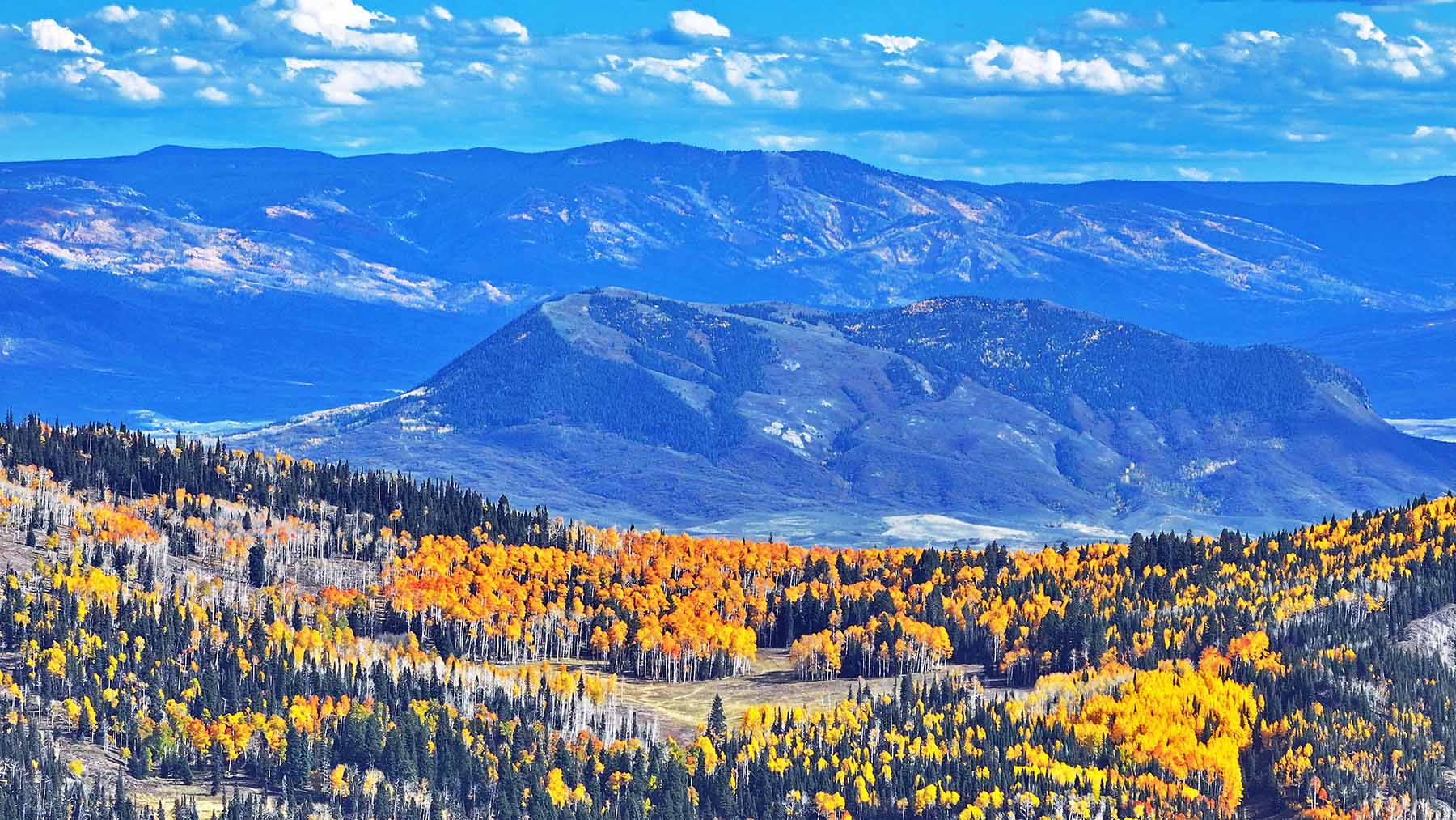 Colorado Haven property picture 30 of 97