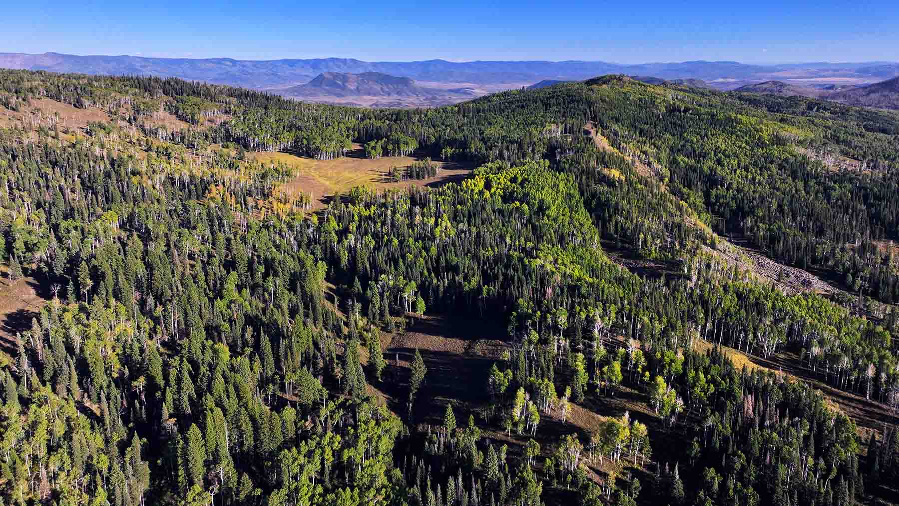 Colorado Haven property picture 8 of 97