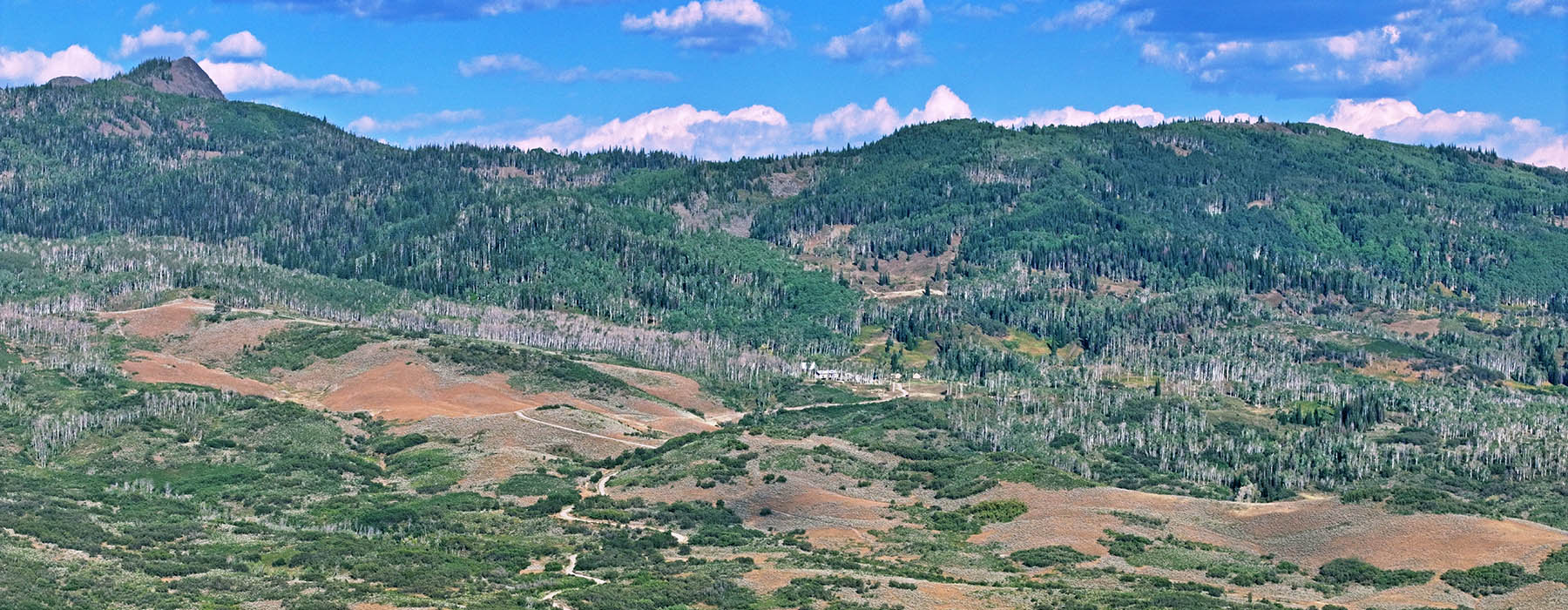 Colorado Haven property picture 1 of 97