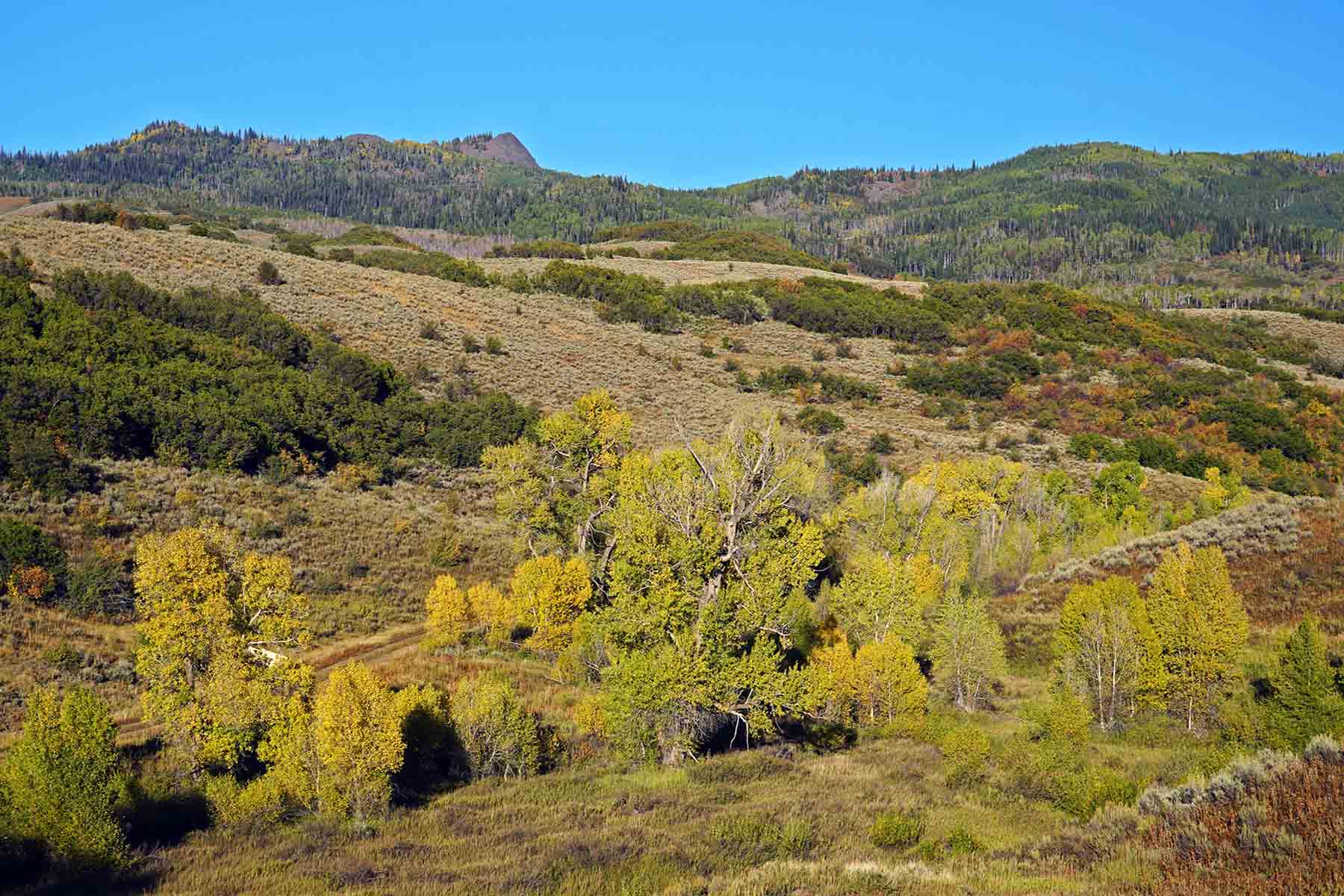 Colorado Haven property picture 37 of 97