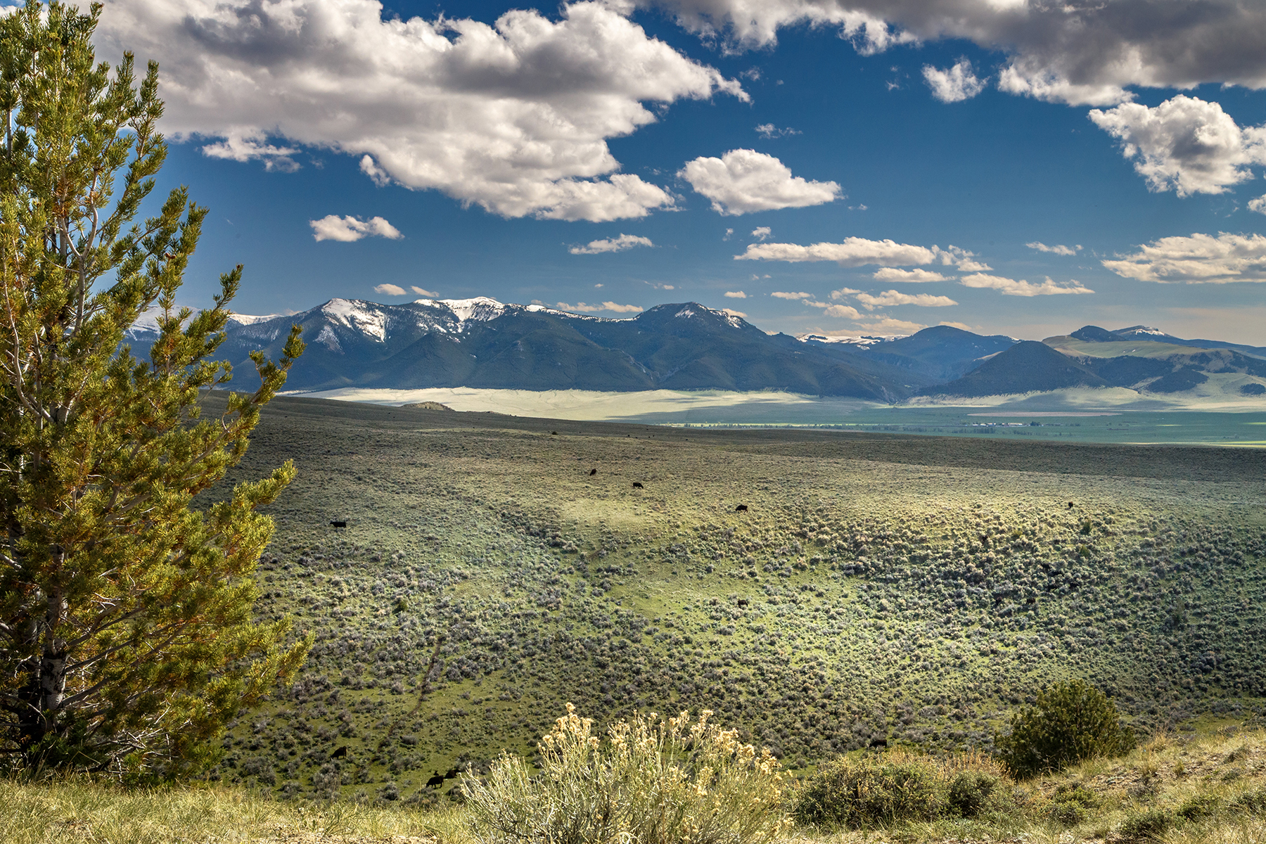 Axes Canyon West property picture 7 of 10