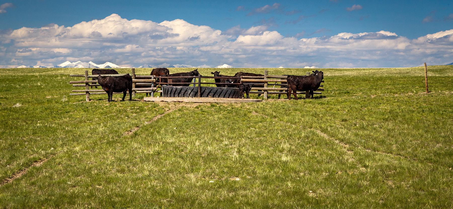 Axes Canyon Smith Unit property picture 11 of 26