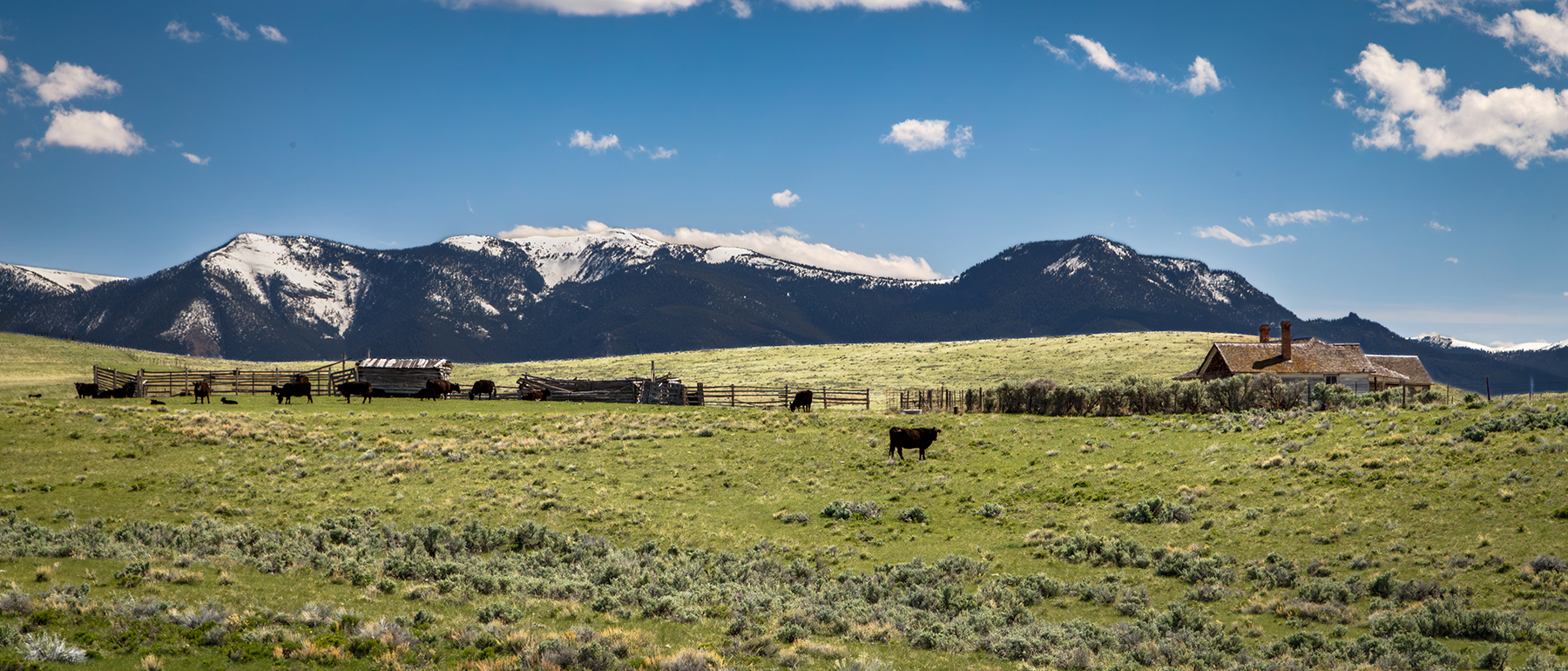 Axes Canyon Smith Unit property picture 3 of 26