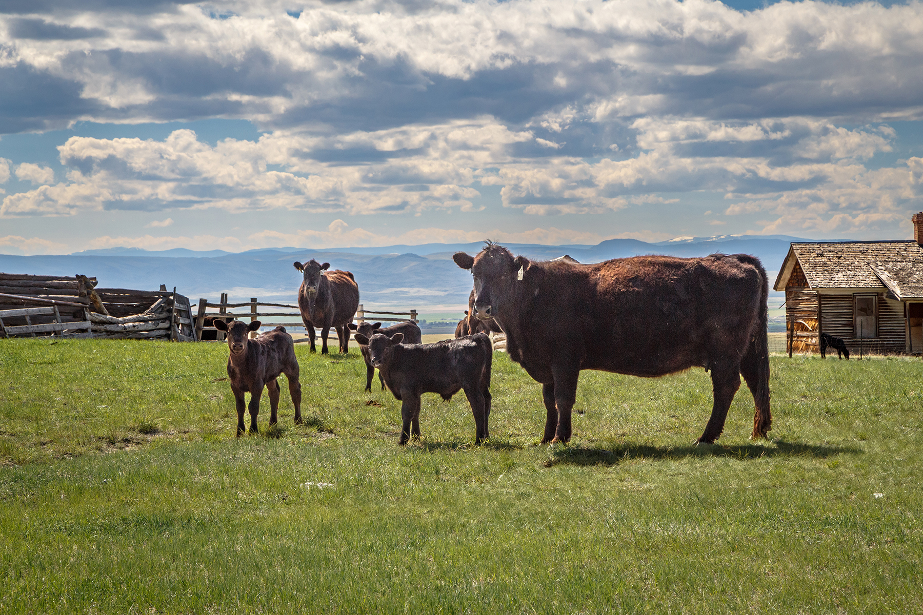 Axes Canyon Smith Unit property picture 21 of 26