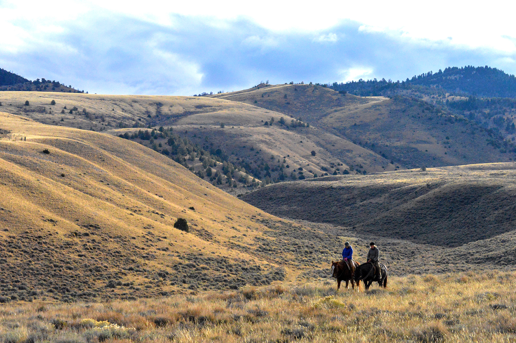 Axes Canyon Smith Unit property picture 14 of 26