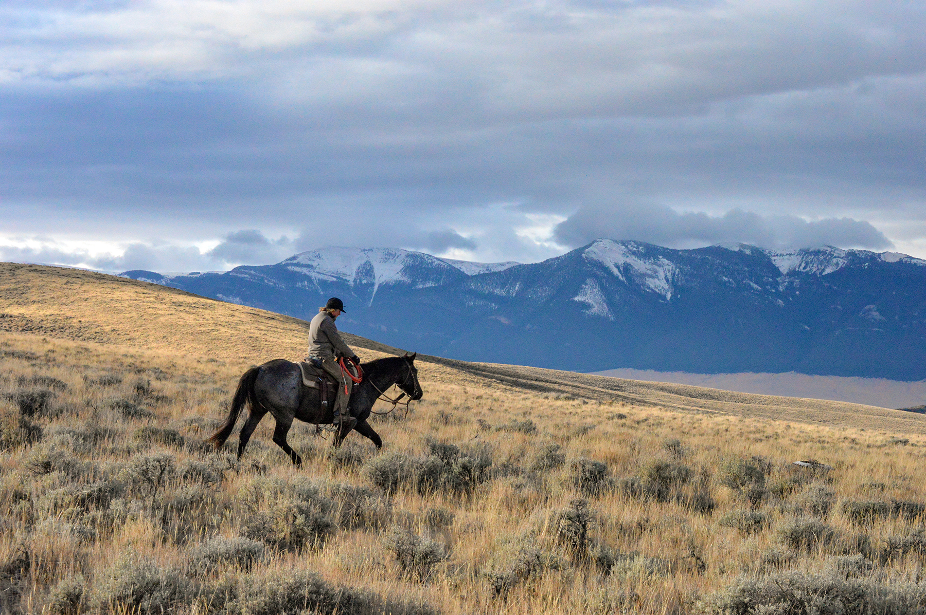 Axes Canyon Smith Unit property picture 7 of 26