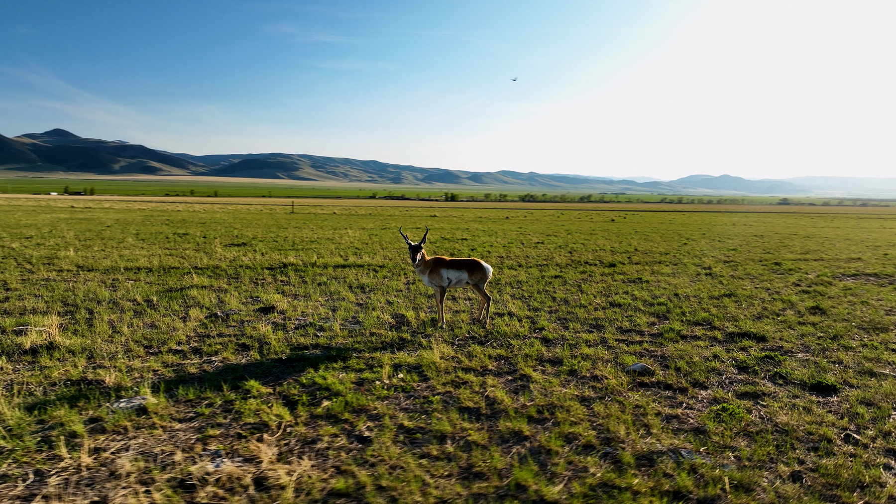 Axes Canyon Smith Unit property picture 13 of 26
