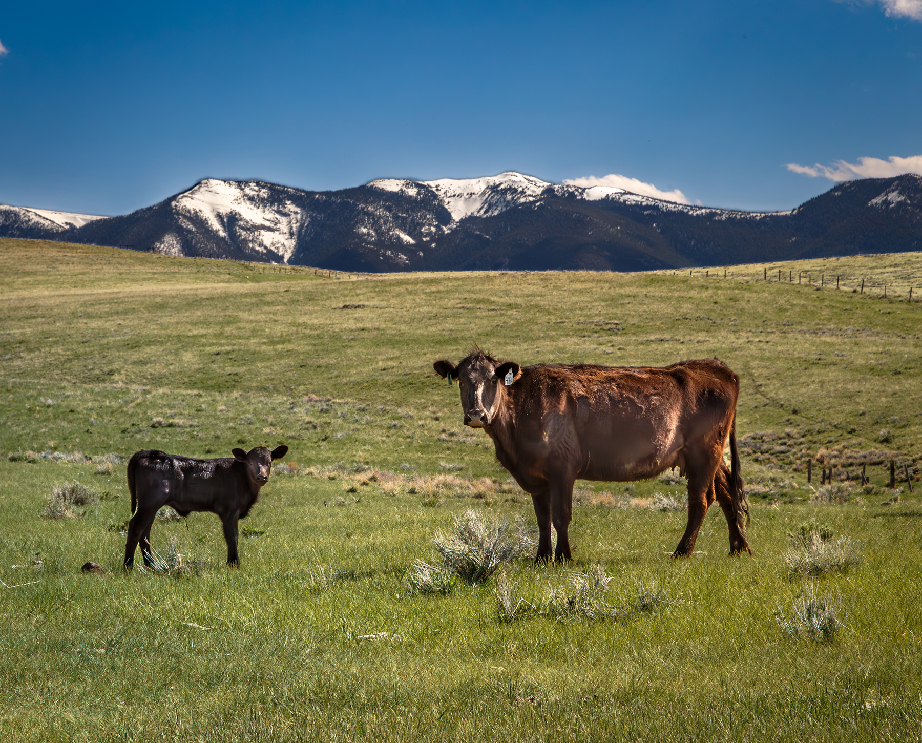 Axes Canyon Smith Unit property picture 16 of 26