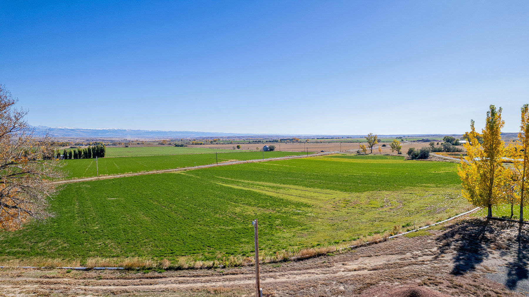 Boyd Farm property picture 33 of 80