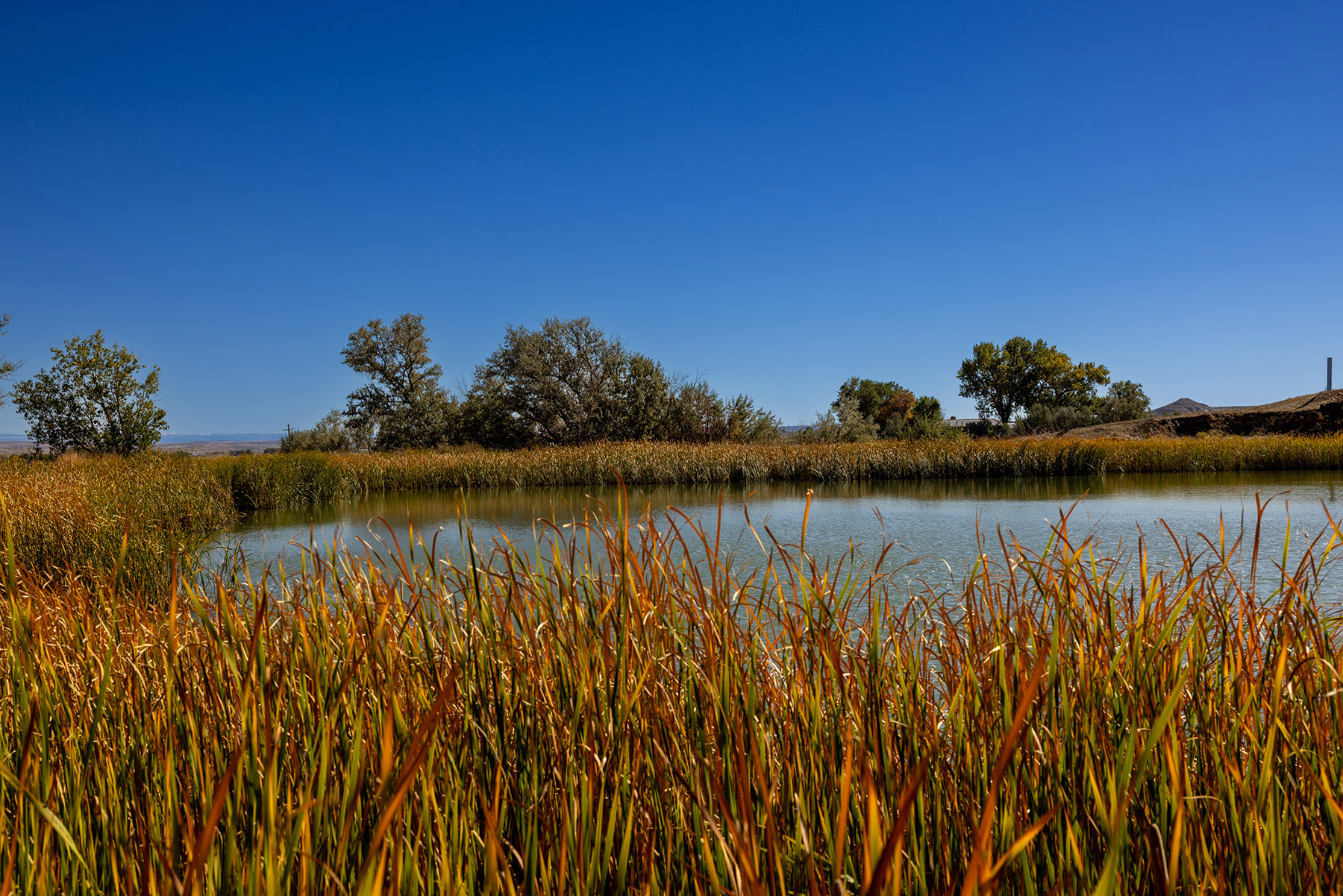 Boyd Farm property picture 9 of 80