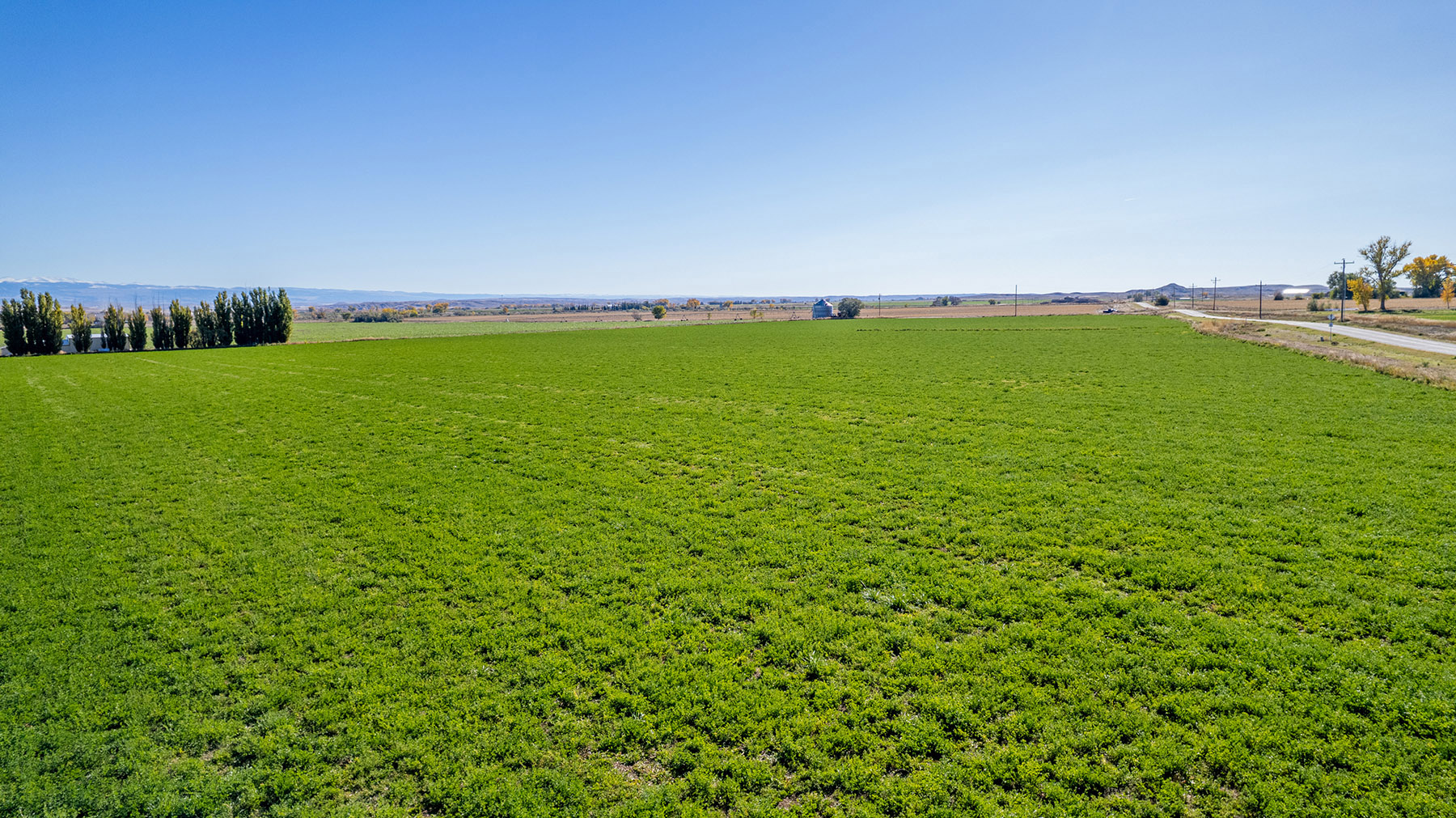 Boyd Farm property picture 7 of 80